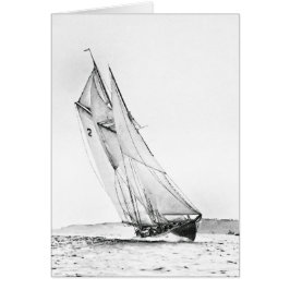 Bluenose snijdt de lijn