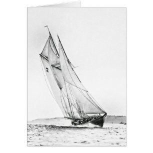 Bluenose snijdt de lijn