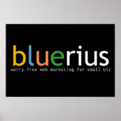 bluerius.com banner poster (Voorkant)