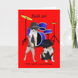 Blues Brothers Cats Kaart