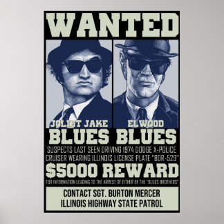 Blues Brothers Gezochte Poster