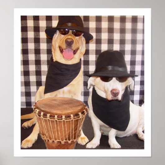 Blues Brothers Labs Poster (Voorkant)