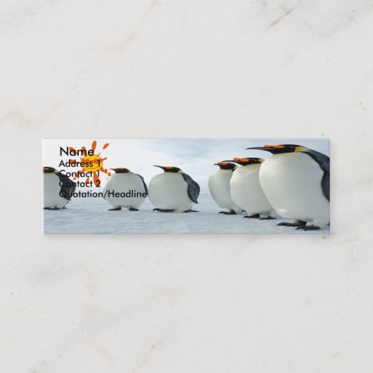 Blues Brothers Mini Visitekaartje (Voorkant)