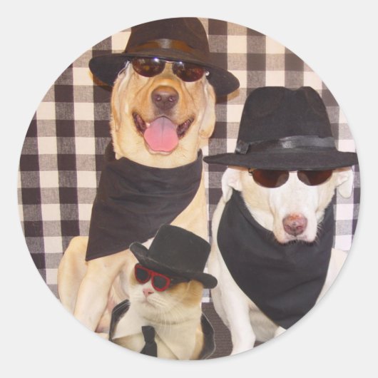 Blues Labs en Cool Cat Ronde Sticker (Voorkant)