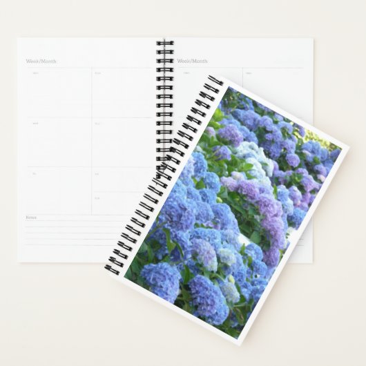 Blues Muse Hydrangeas Spiral Notitieboek (Display)