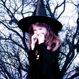 Blues Tree Shadows Forest tinten Wandkleed