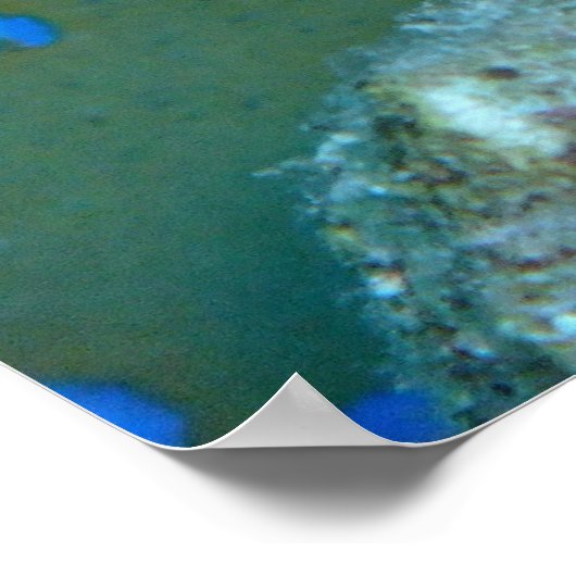 Bluespotted Ribbontail Ray Poster (Hoek)