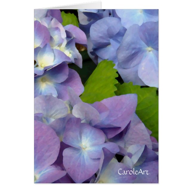 Bluest Blue Hydrangeas (Voorkant)
