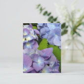 Bluest Blue Hydrangeas Briefkaart (Staand voorkant)