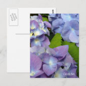 Bluest Blue Hydrangeas Briefkaart (Voorkant / Achterkant)