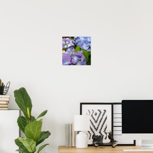 Bluest Blue Hydrangeas Poster (Thuiskantoor)