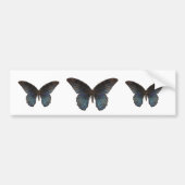 BlueSwallowTail Butterfly Bumpersticker (Voorkant)