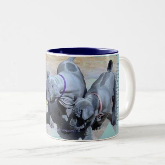 "BlueThai Ridgeback-Phu Quoc dog" Tweekleurige Koffiemok (Voorkant rechts)