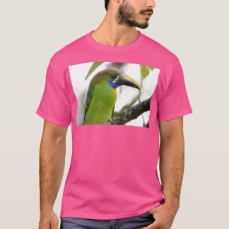 Bluethroated Toucanet T-shirt