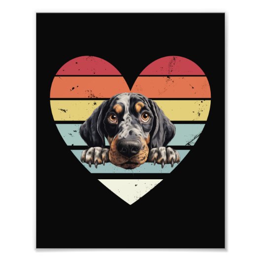 Bluetick Coonhound Dog Foto Afdruk (Voorkant)