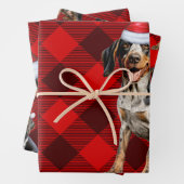 Bluetick Coonhound Dog Holiday Plaid Kerstmis Inpakpapier Vel (In situ)