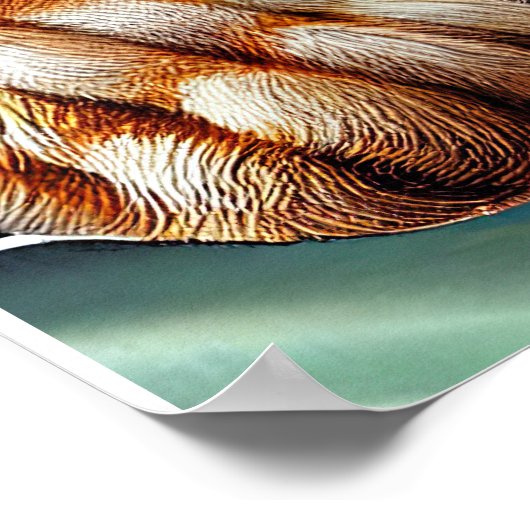 Bluetick Coonhound Driving Bike St. Patrick's Day Poster (Hoek)