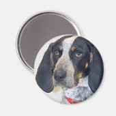 Bluetick Coonhound Foto Magneet (Voorkant / Achterkant)