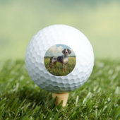 Bluetick Coonhound Golfballen (Insitu Shirt)