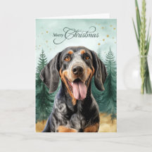 Bluetick Coonhound-hond en winterbos