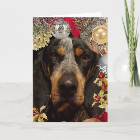 Bluetick Coonhound Hond/ Huisdier Foto Kerstmis Kaart (Voorkant)