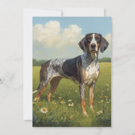 Bluetick Coonhound Kaart