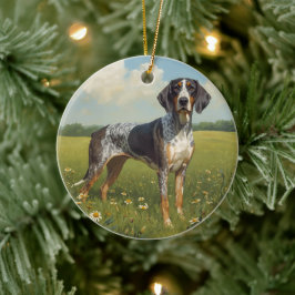 Bluetick Coonhound Keramisch Ornament
