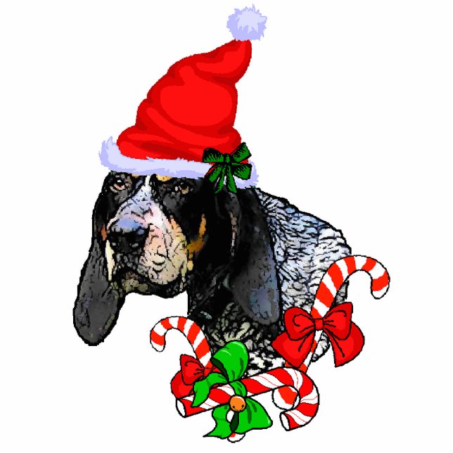 Bluetick Coonhound-kerstcadeautjes Fotobeeldje Ornament (Voorkant)