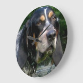 Bluetick Coonhound.png Grote Klok (Hoek)