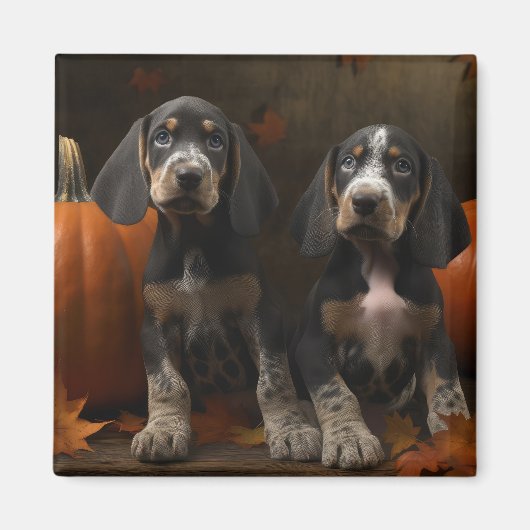 Bluetick Coonhound Pup Autumn Delight Pompoen Magneet (Voorkant)