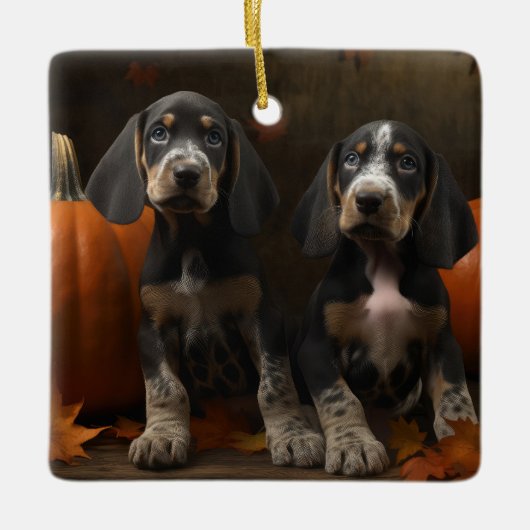 Bluetick Coonhound Puppy Herfst Delight Pompoen Keramisch Ornament (Voorkant)