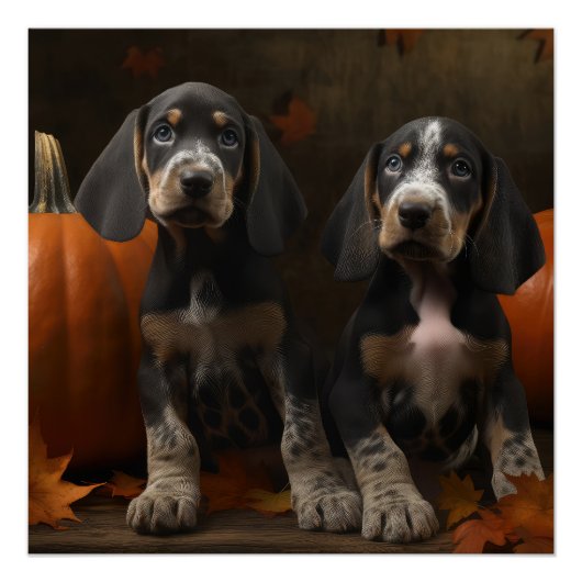 Bluetick Coonhound Puppy Herfstpracht Pompoen  Perfect Poster (Voorkant)