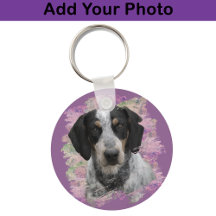 Bluetick Coonhound Roze Lilac Hondenliefhebber Fot