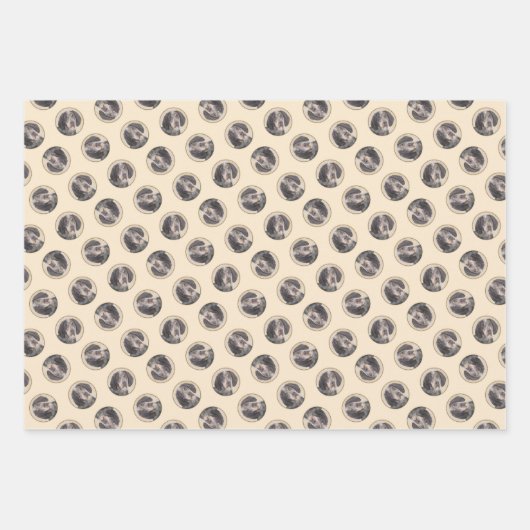 Bluetick Coonhound Schilderen met markeringen Dog Inpakpapier Vel (Voorkant)