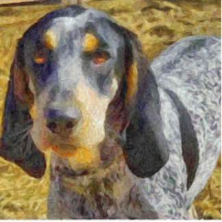 Bluetick Coonhound Staand Fotobeeldje