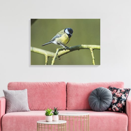Bluetit Canvas Afdruk (Insitu (Woonkamer))
