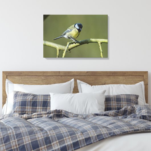 Bluetit Canvas Afdruk (Insitu (Slaapkamer))