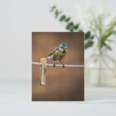 Bluetit op een waslijn briefkaart (Staand voorkant)