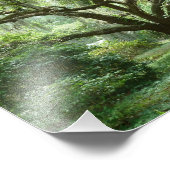 Bluffton Summer middag Foto Afdruk (Hoek)