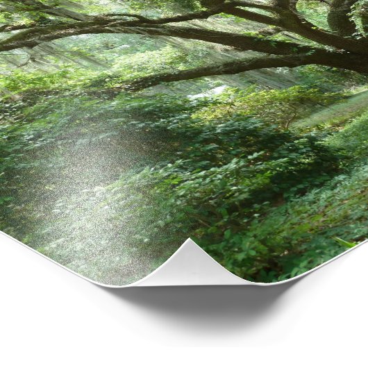 Bluffton Summer middag Foto Afdruk (Hoek)