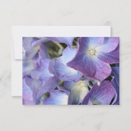 ©Bluish Paars Hydrangea RSVP Response Kaart (Achterkant)