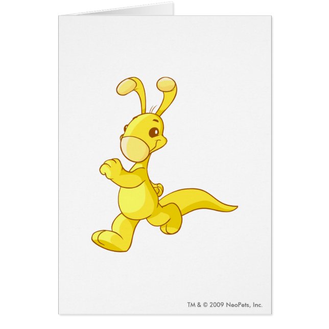 Blumaroo Gold (Voorkant)