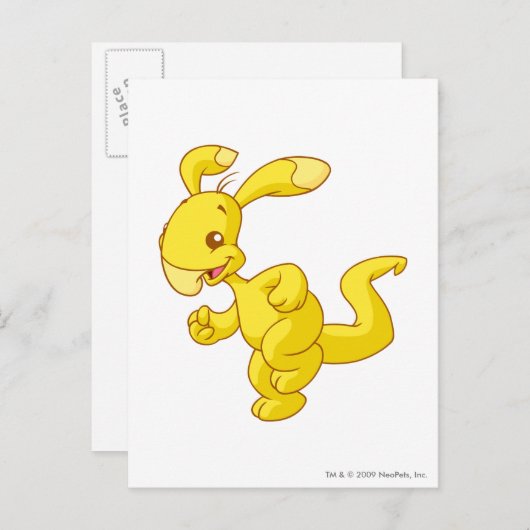 Blumaroo Gold Briefkaart (Voorkant / Achterkant)