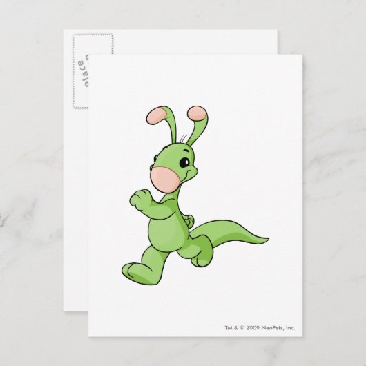Blumaroo Green Briefkaart (Voorkant / Achterkant)