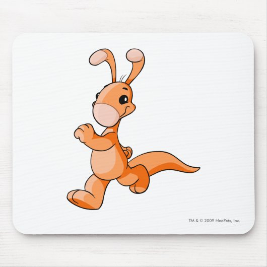 Blumaroo Oranje Muismat (Voorkant)