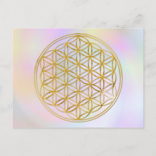 Blume des Lebens klein pastell Briefkaart