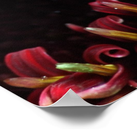 Blume Poster (Hoek)