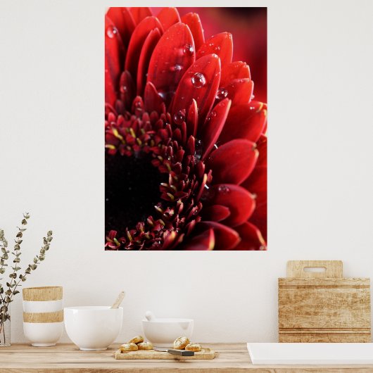 Blume Poster (Keuken)