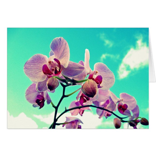 Blumen (Voorkant Horizontaal)