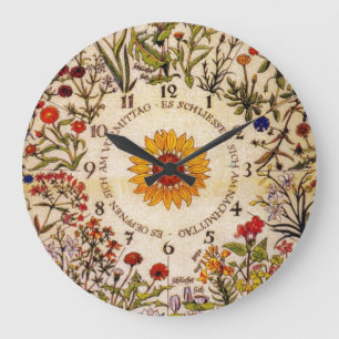 Blumenuhr Flower Clock Grote Klok
